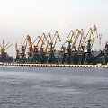 BNS nuotr.