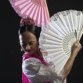 &bdquo;Flamenco ma non troppo&ldquo;
