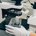 Darbas laboratorijoje