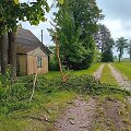 Žaibas suskaldė medį Raseinių rajone