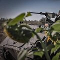 Ukrainos karys