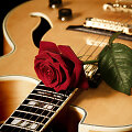 Gitara.
