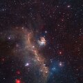 2,2 metro skersmens teleskopu &bdquo;Wide Field Imager" daryta žvaigždžių lop&scaron;eliu vadinamo Žuvėdros ūko galva &ndash; Sh 2-292 