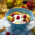 Granola su graiki&scaron;ku jogurtu