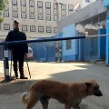 Egipte dingęs italas doktorantas rastas nužudytas ir sudegintas