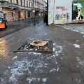 Nupjauto medžio Islandijos ir Vilniaus g. sankryžoje kelmas
