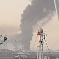 Jungtiniai Arabų Emyratai / Social Media via REUTERS
