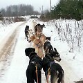 &Scaron;unys buvo ruo&scaron;iami žiemai, tačiau kol kas turi tempti ne roges, bet triračius.