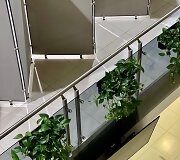 Skaistės Pranaitės kurtas žalias interjeras
