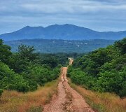 Algirdo kelionė per Afriką dviračiu