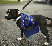 Tūkstantis &scaron;unų su &scaron;eimininkais Londone protestavo prie&scaron; &bdquo;Brexit&ldquo;