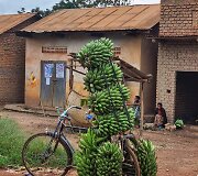 Algirdo kelionė per Afriką dviračiu