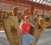 Vaizdai i&scaron; &bdquo;Ingrida Tours&ldquo; organizuojamų kelionių