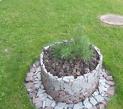 Roma Liutkevičienė puoselėja daugiabučio kiemą