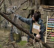 Kasmetinis gyvūnų sura&scaron;ymas Londono zoologijos sode