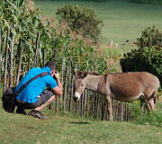Fotografuojamas asilas