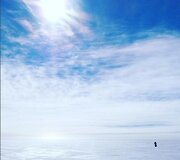 Henry Worsley