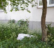 Asociatyvi nuotrauka