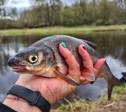 Gintarė Makauskaitė save atrado žvejyboje