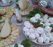 Į sūrį reikia ne žiūrėti. Jį reikia ragauti