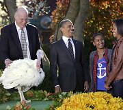 JAV prezidentas Barackas Obama su dukromis Sasha ir Malia ir kalakutu, kuriam per Padėkos dieną buvo suteikta malonė