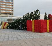 Nuvirto Marijampolės Kalėdų eglė
