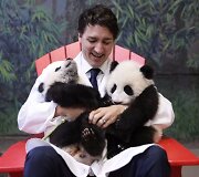 Kanados ministras pirmininkas Justinas Trudeau su pandų jaunikliais