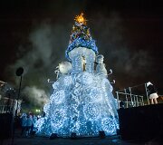 Kauno eglutė i&scaron;rinkta gražiausia Lietuvoje