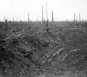 Vokiečių apkasai Prancūzijoje, Delville Wood, 1916 m.