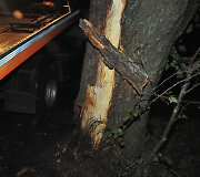 Po smūgio į &scaron;į medį BMW lūžo per puse