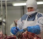 Darbuotojas mėsos perdirbimo fabrike