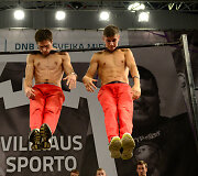 Vilniaus sporto festivalis