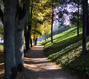 Ruduo Bir&scaron;tone