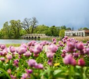 Gėlės Pakruojo dvare
