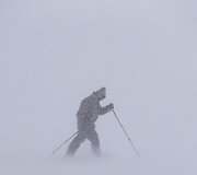 Pūga Kanadoje