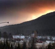 Laimingas &scaron;unų gyvenimas Norvegijoje