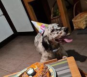 Uogos gimtadienio &scaron;ventė
