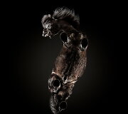 Fotografo Andriaus Burbos įamžinti arkliai i&scaron; apačios projekte &bdquo;Underlook&ldquo;