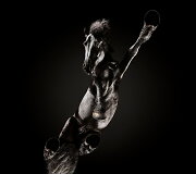 Fotografo Andriaus Burbos įamžinti arkliai i&scaron; apačios projekte &bdquo;Underlook&ldquo;