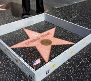 Aplink Donaldo Trumpo žvaigždę &scaron;lovės alėjoje Holivude pastatyta siena