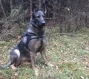 Keturkojė VSAT pareigūnė Dora