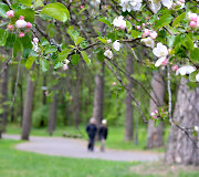 Laisvalaikis Vingio parke