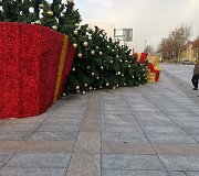 Nuvirto Marijampolės Kalėdų eglė