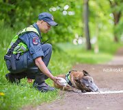 &Scaron;iaulių policijos kova su stereotipais