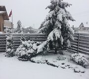 Žiema prarijo pavasarį