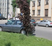 Avarijos vietoje
