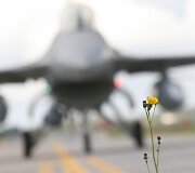 NATO bazėje nusileido &scaron;e&scaron;i Portugalijos naikintuvai F-16