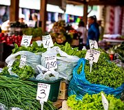 Palangos turgaus spalvos 