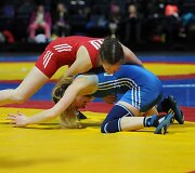 2017 metų Lietuvos imtynių čempionatas