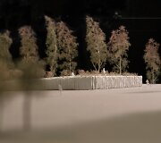 Naujasis Luki&scaron;kių aik&scaron;tės memorialo maketas